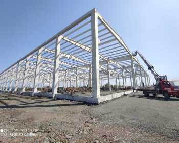 WhatsApp-Image-2025-05-15-at-10.15.17-3